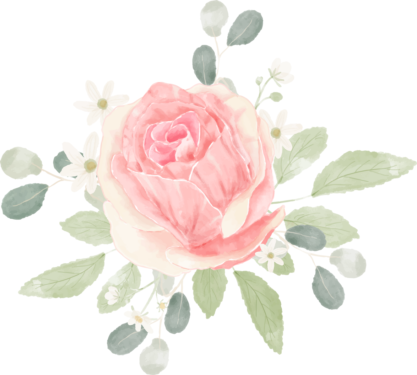 Pink Pastel Watercolor Rose Flower