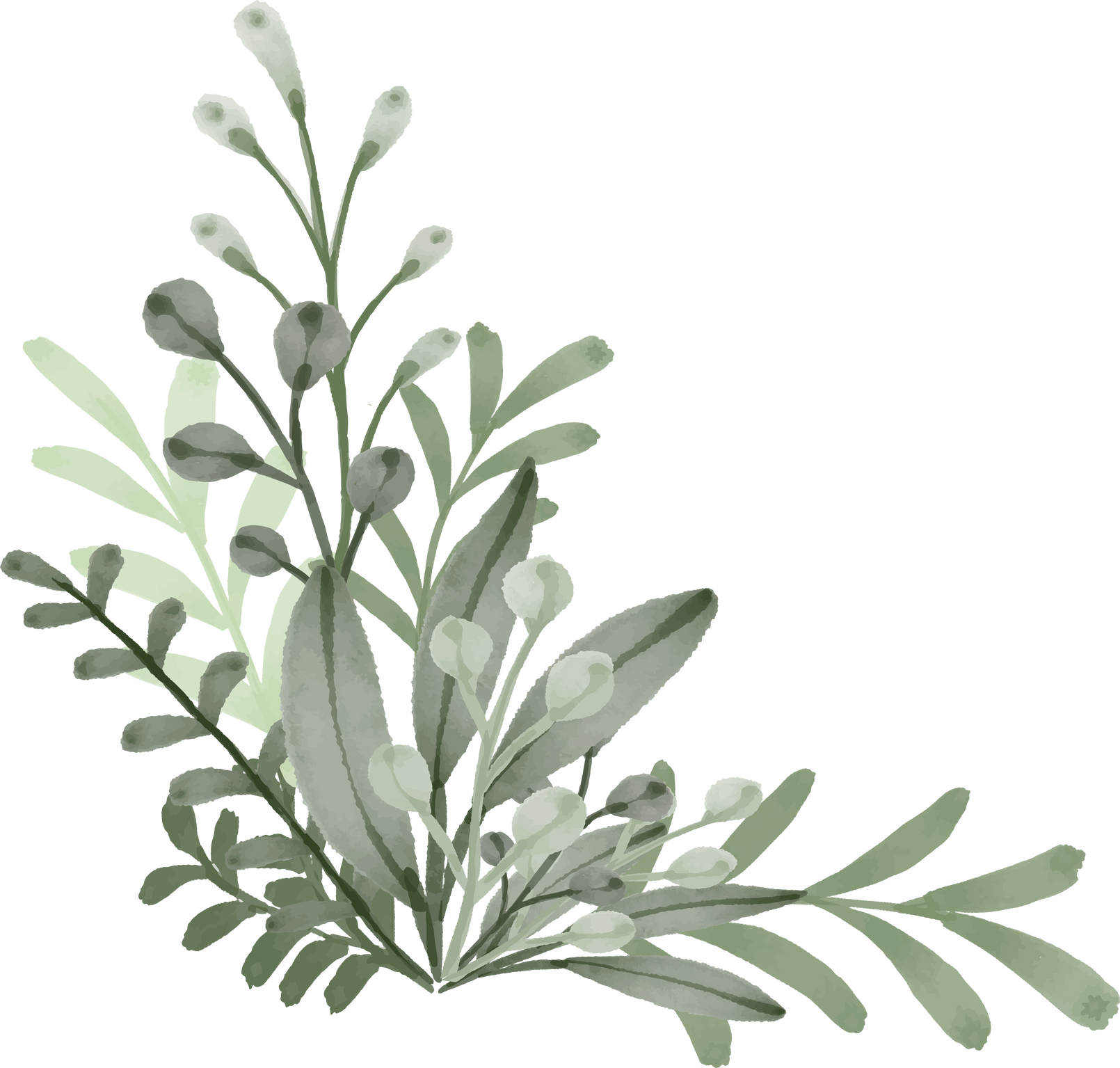 Green Leaves Watercolor Illustration