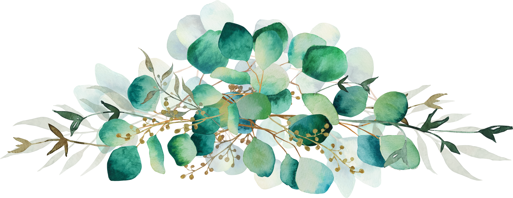 Green Eucalyptus Branch Watercolor Clipart
