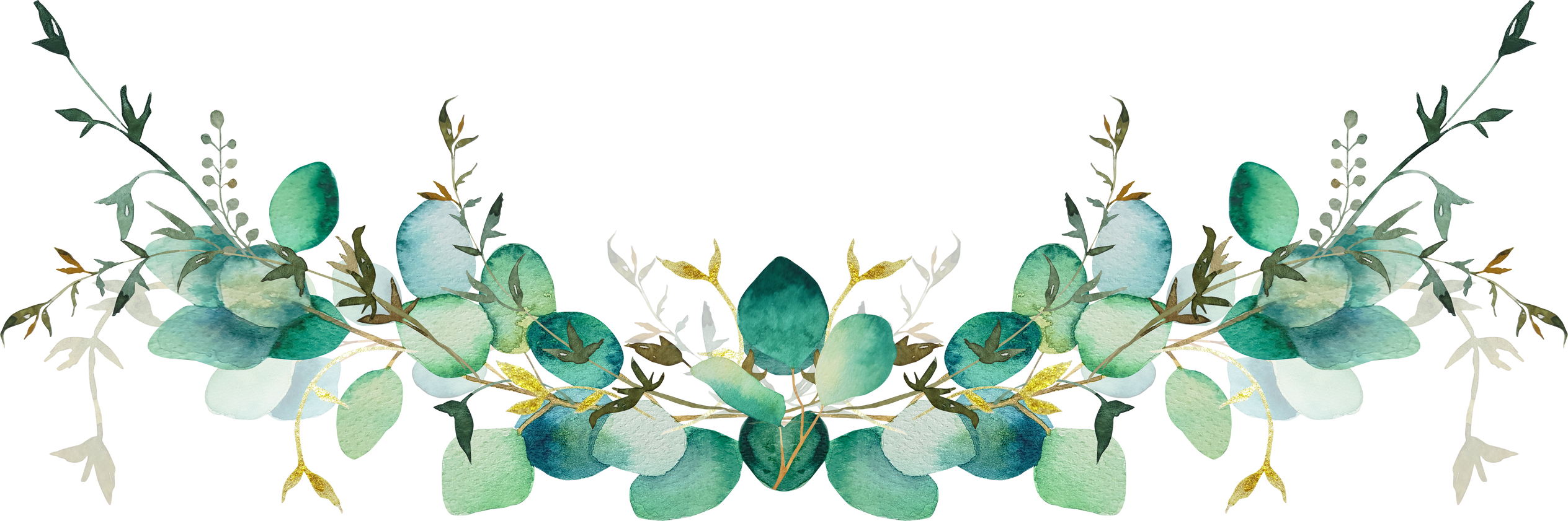 Green Eucalyptus Branch Watercolor Clipart