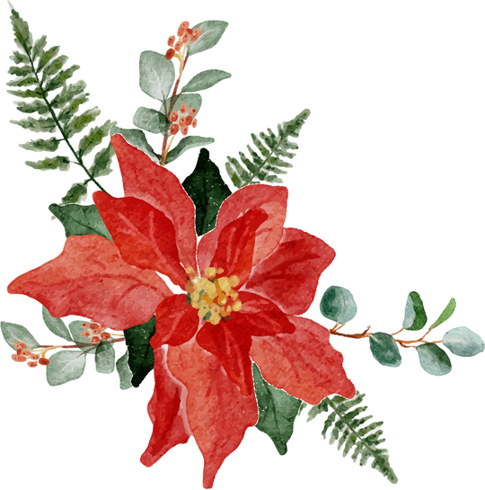 Watercolor Poinsettia Flower