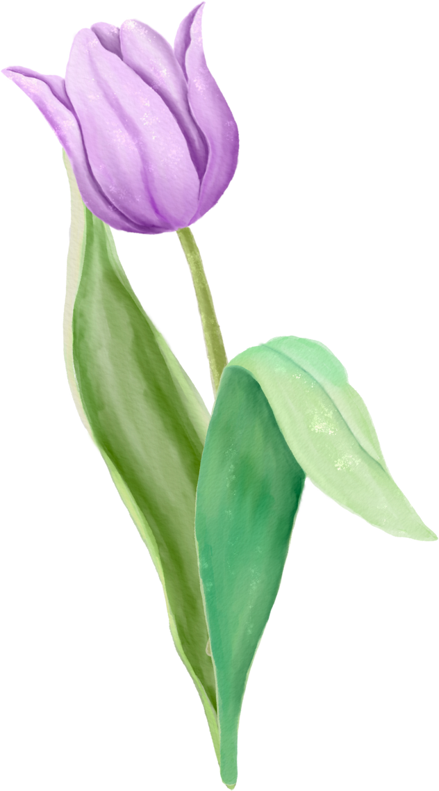 Watercolor Tulip