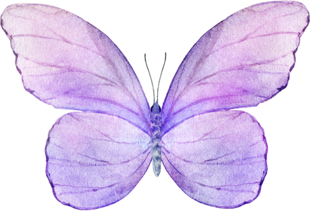 Purple  Lavender Watercolor Butterfly