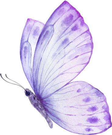 Purple  Violet Watercolor Butterfly