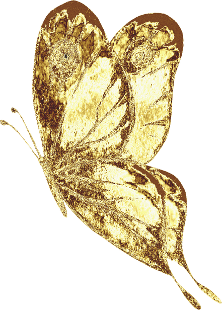 Golden Butterfly Illustration