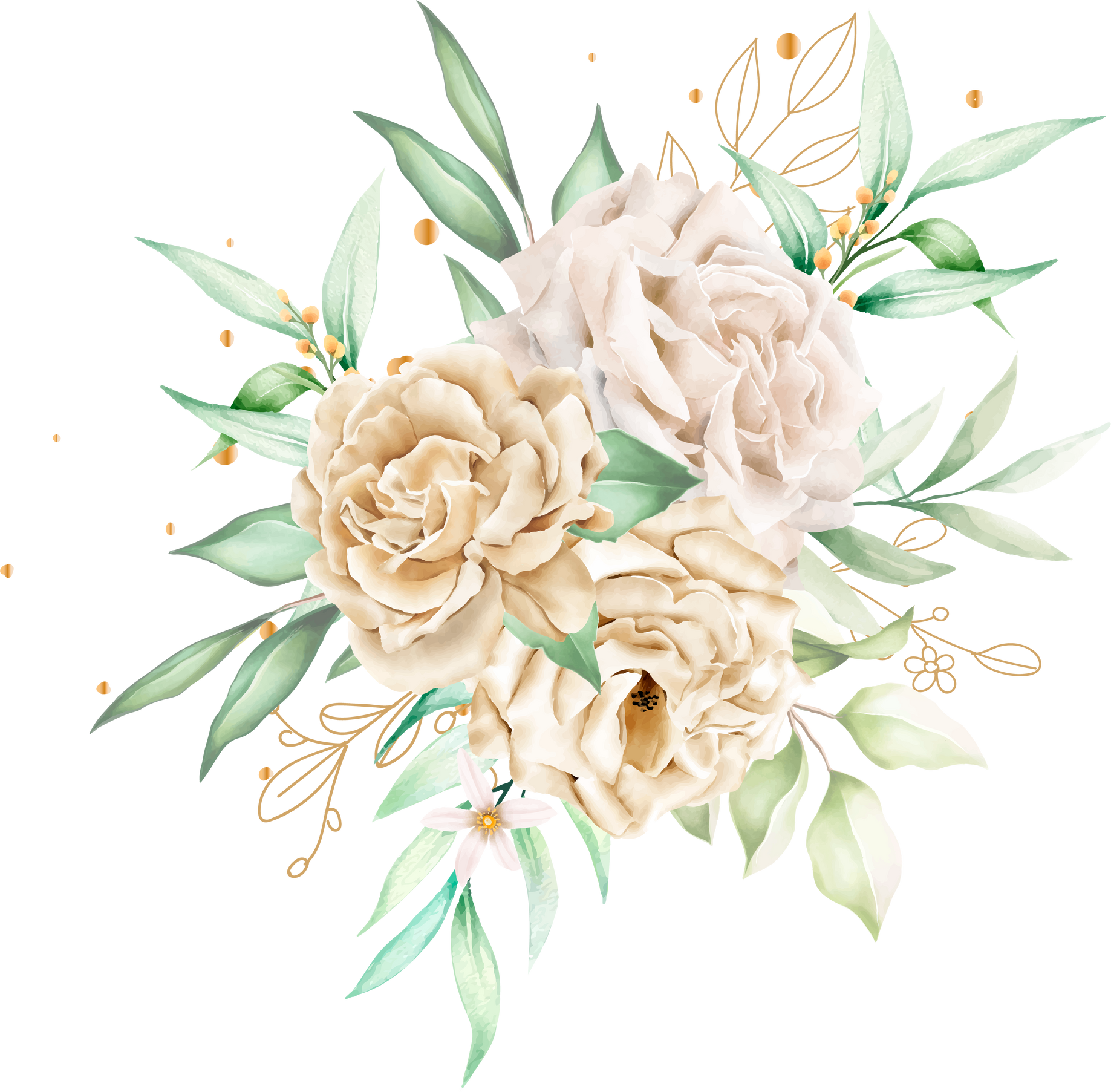 watercolor white roses bouquet and branches illustration