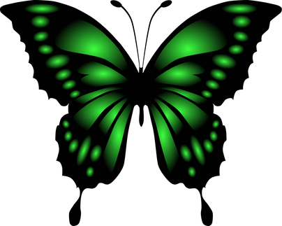 Green Gradient Butterfly Illustration