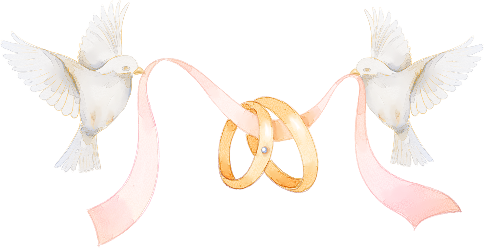 Watercolor Wedding Rings with Birds.