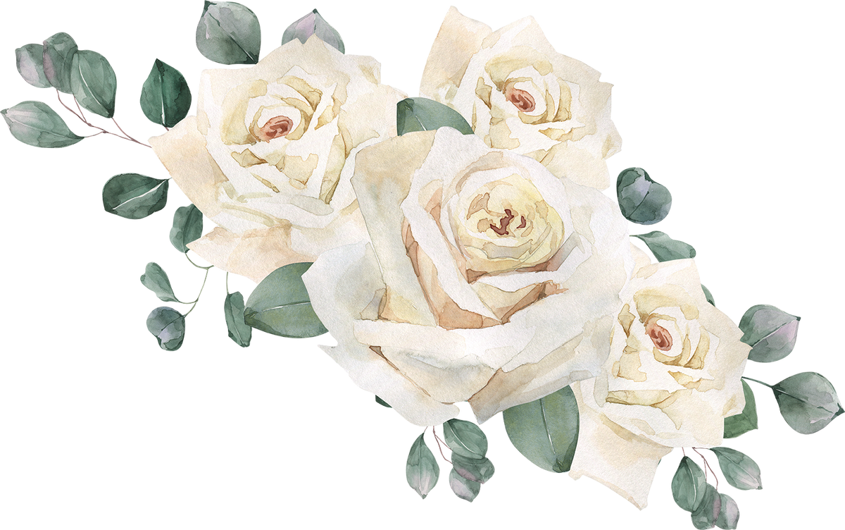 Watercolor Hand Drawn White Rose Illustration