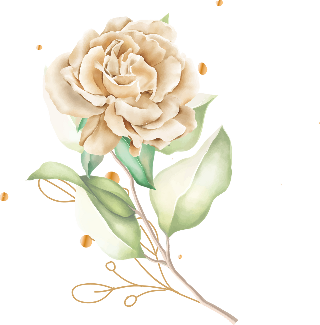 watercolor white roses bouquet and branches illustration
