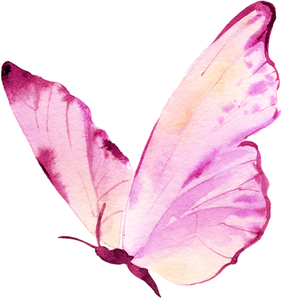 Pink butterfly Watercolor illustration