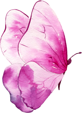 Pink butterfly Watercolor illustration