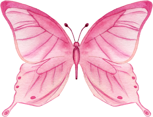 Pink butterfly Watercolor illustration