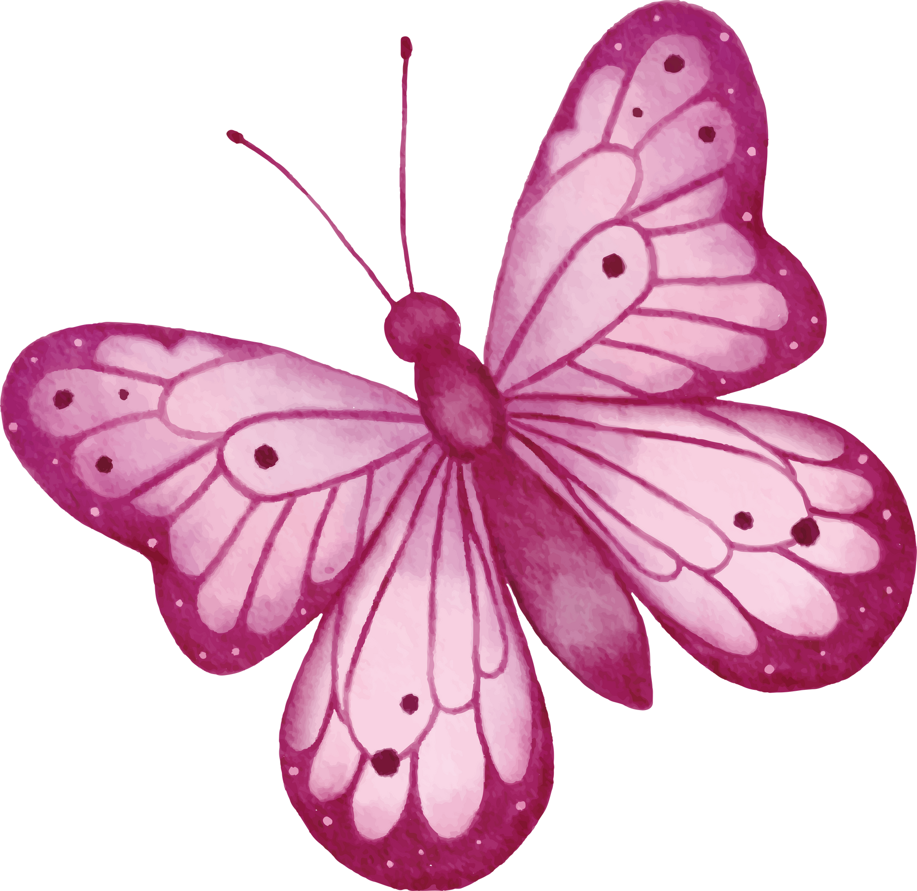 butterfly watercolor hand-drawing png