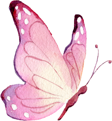 Pink butterfly Watercolor illustration