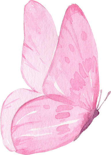 Watercolor Illustration Of The Pink Butterfly