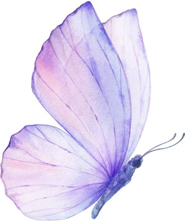 Pink Violet Watercolor Butterfly