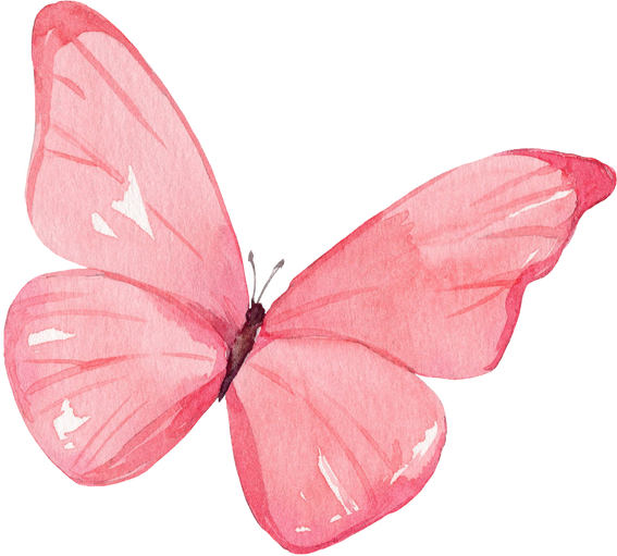 Watercolor Illustration Of The Pink Butterfly