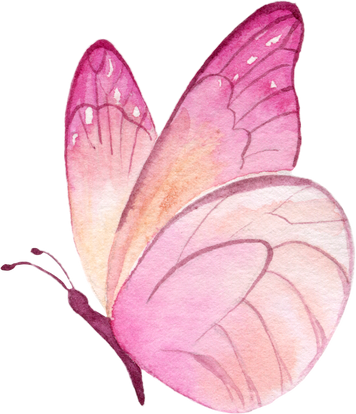 Pink butterfly Watercolor illustration