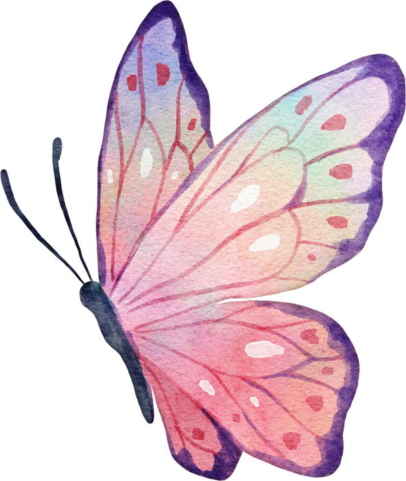 Butterfly Watercolor Illustration